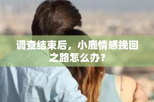 调查结束后，小鹿情感挽回之路怎么办？