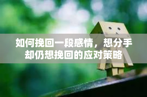 如何挽回一段感情，想分手却仍想挽回的应对策略
