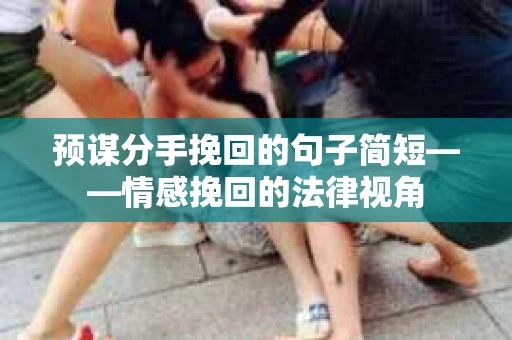 预谋分手挽回的句子简短——情感挽回的法律视角