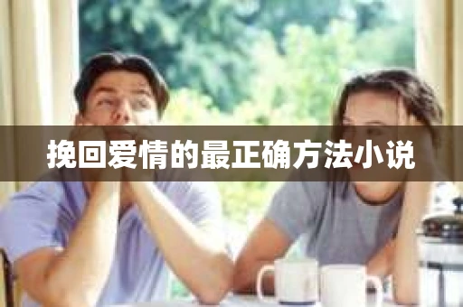 挽回爱情的最正确方法小说