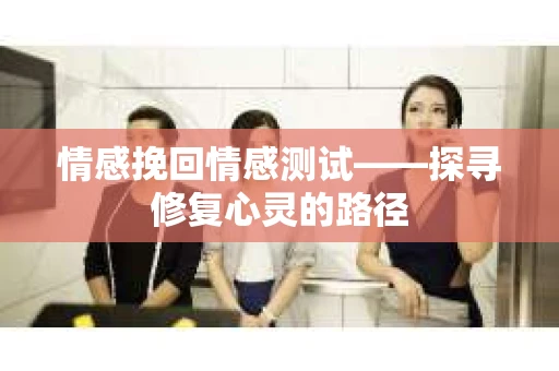 情感挽回情感测试——探寻修复心灵的路径