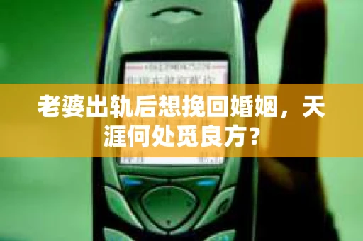 老婆出轨后想挽回婚姻，天涯何处觅良方？
