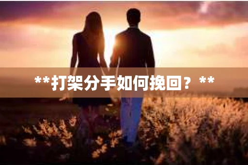 **打架分手如何挽回？**
