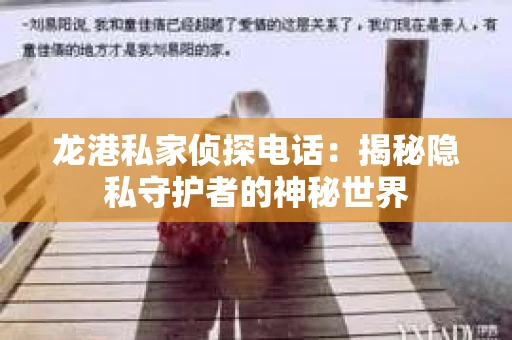 龙港私家侦探电话：揭秘隐私守护者的神秘世界