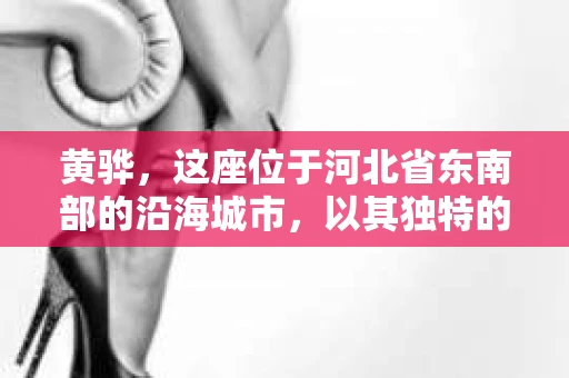 黄骅，这座位于河北省东南部的沿海城市，以其独特的地理位置和丰富的历史文化而闻名。然而，在这座城市中，还有一群人，他们以另一种方式默默守护着社会的公平与正义——私家侦探。今天，我们就来聊聊黄骅的私家侦探，看看他们是如何在这个城市中发挥作用的。