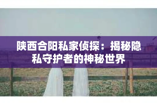 陕西合阳私家侦探：揭秘隐私守护者的神秘世界