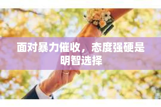 面对暴力催收，态度强硬是明智选择