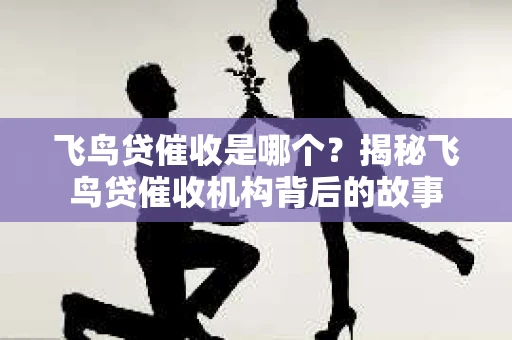 飞鸟贷催收是哪个？揭秘飞鸟贷催收机构背后的故事