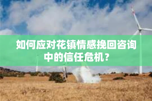 如何应对花镇情感挽回咨询中的信任危机？