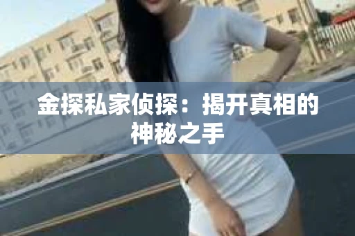 金探私家侦探：揭开真相的神秘之手