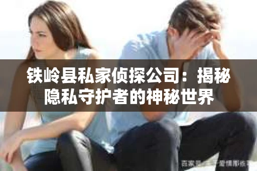 铁岭县私家侦探公司：揭秘隐私守护者的神秘世界
