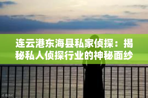连云港东海县私家侦探：揭秘私人侦探行业的神秘面纱