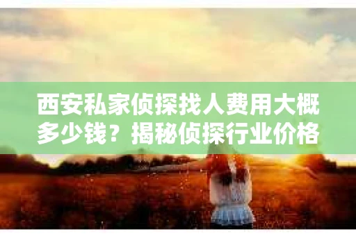 西安私家侦探找人费用大概多少钱？揭秘侦探行业价格之谜
