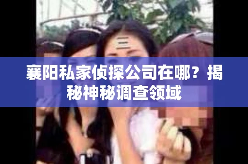 襄阳私家侦探公司在哪？揭秘神秘调查领域