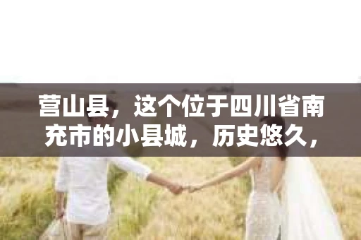 营山县，这个位于四川省南充市的小县城，历史悠久，风景秀丽。但在这个宁静的小县城里，你是否会好奇，有没有私家侦探的存在呢？今天，我就来和大家聊聊这个话题。