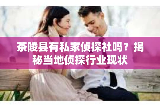 茶陵县有私家侦探社吗？揭秘当地侦探行业现状