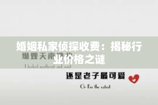 婚姻私家侦探收费：揭秘行业价格之谜