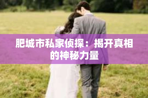 肥城市私家侦探：揭开真相的神秘力量