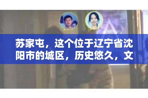 苏家屯，这个位于辽宁省沈阳市的城区，历史悠久，文化底蕴深厚。近年来，随着社会的发展，人们对于私家侦探的需求也逐渐增加。那么，苏家屯有私家侦探吗？今天，我们就来聊聊这个话题。