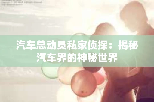 汽车总动员私家侦探：揭秘汽车界的神秘世界