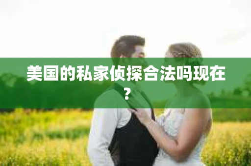 美国的私家侦探合法吗现在？