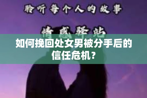 如何挽回处女男被分手后的信任危机? 如何挽回处女男被分手后的信任危机?