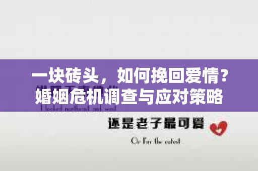 一块砖头，如何挽回爱情？婚姻危机调查与应对策略