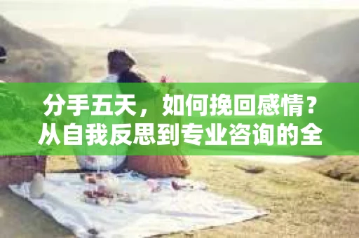 分手五天，如何挽回感情？从自我反思到专业咨询的全面解决方案