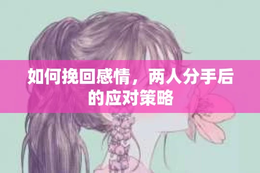 如何挽回感情,两人分手后的应对策略 如何挽回感情,两人分手后的应对策略