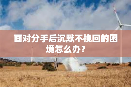 面对分手后沉默不挽回的困境怎么办？