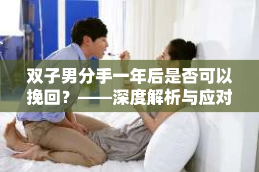 双子男分手一年后是否可以挽回？——深度解析与应对策略